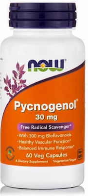 Now Foods Pycnogenol 30mg 60 φυτικές κάψουλες