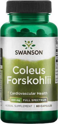 Swanson Coleus Forskohlii 400mg 60 κάψουλες