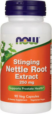 Now Foods Nettle Root Extract Vegetarian 250mg 90 φυτικές κάψουλες