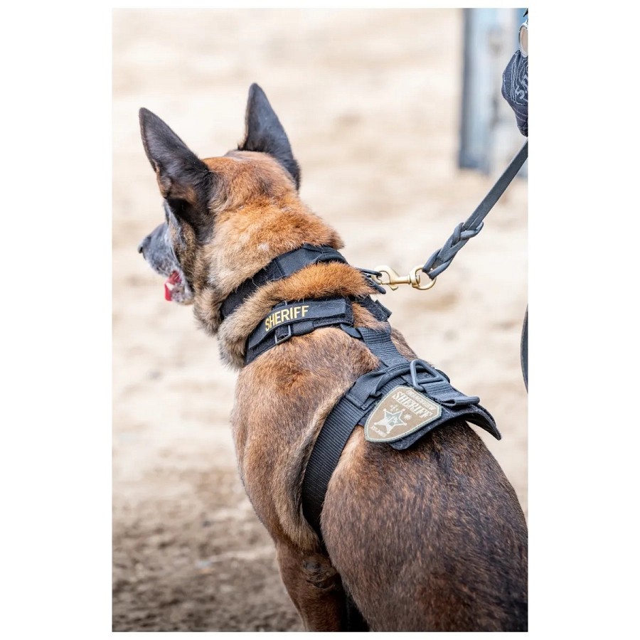 5.11 Περιλαίμαιο σκύλου Aros K9 1.5